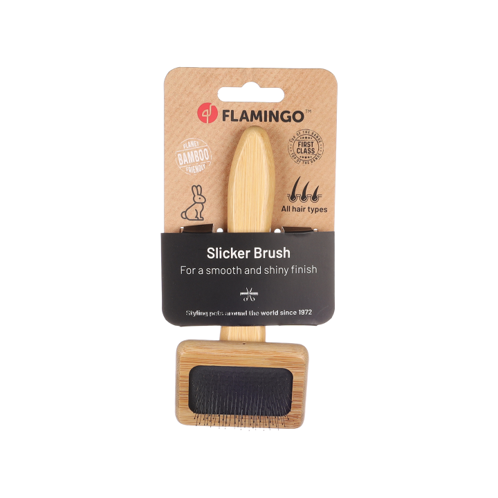 Brosse carde en bambou