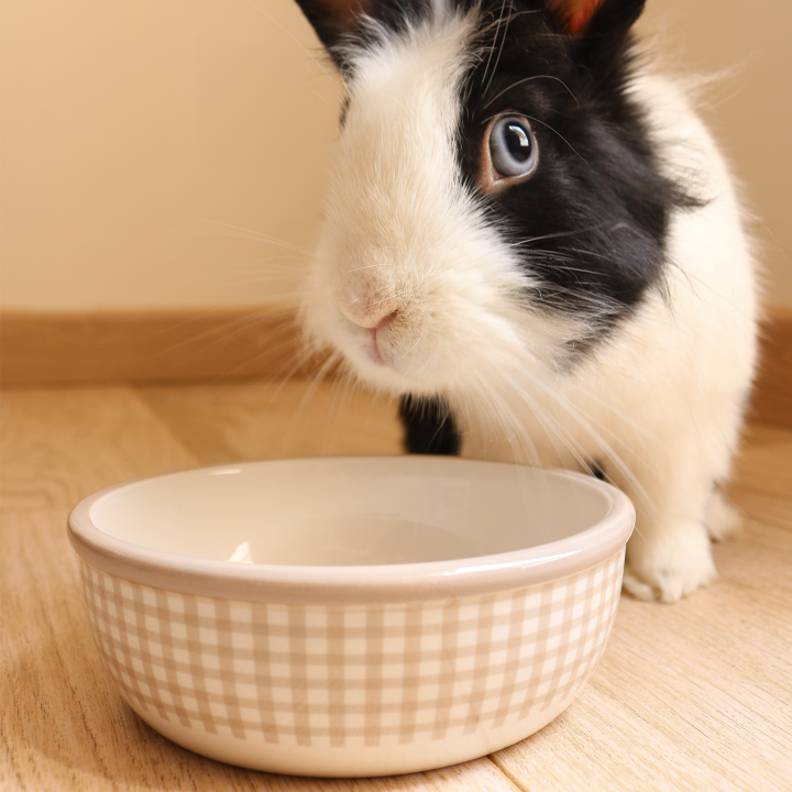 Ecuelle lapin en céramique